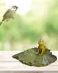 R Vogeltränke mit Frosch, grün