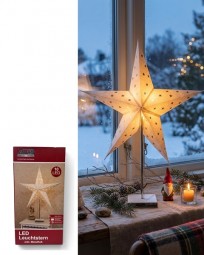 W Leuchtstern Metallfuß 10 LED Ø 60 cm mit Timer