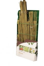 Pflanzstäbe Bambus 3 versch. Größen im Display 300 Stück