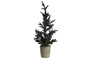 W Weihnachtsbaum im Topf Hx66 cm