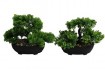 Deko Pflanze Bonsai 2 versch. Modelle