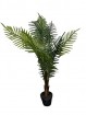 Deko Madagaskar-Palme