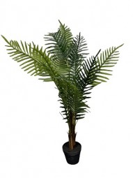 Deko Madagaskar-Palme