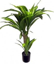 Deko Palme Yucca H x 88 cm