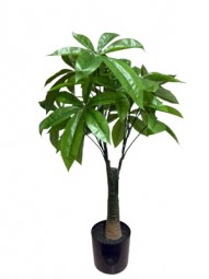 Deko Glückskastanie Baum H x 70 cm